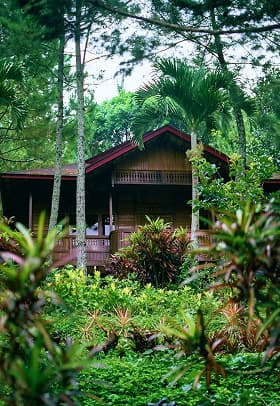 Commercial Landscape Services