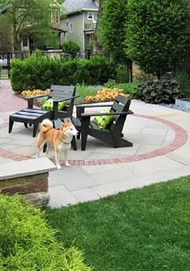 A Garden After Landscape Design Transformation