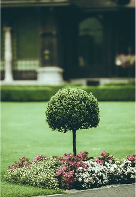A Residential Garden