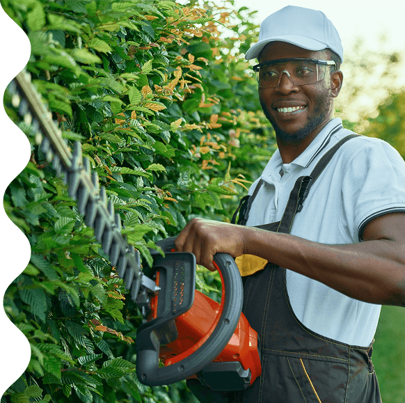 Man trimming hedges