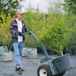 Which one is best for your yard?