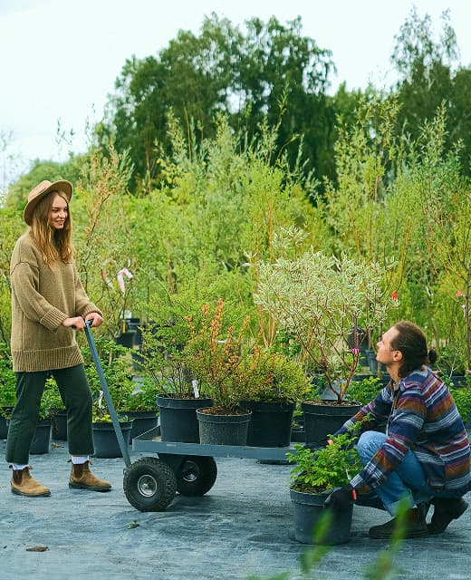 A man and a woman in the garden