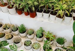 5 Steps to Design The Yard of Your Dreams