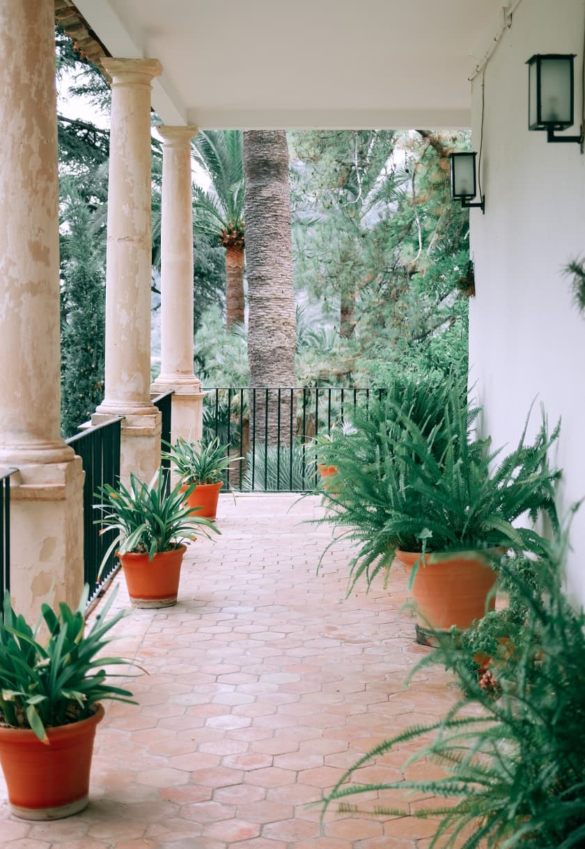 A Residential Garden