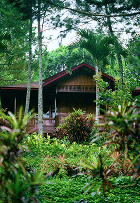 Landscape Design