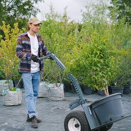Which one is best for your yard?