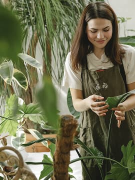 5 Fall Yard Care & Maintenance Tips